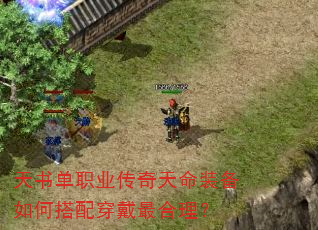 ���鵥ְҵ��������װ����δ��䴩���������