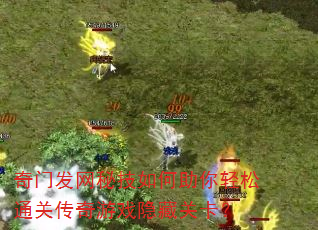 ���ŷ����ؼ������������ͨ�ش�����Ϸ���عؿ���