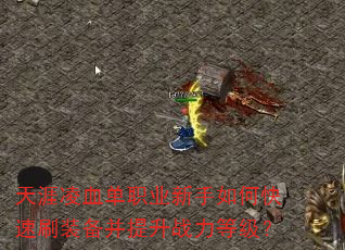 ������Ѫ��ְҵ������ο���ˢװ��������ս���ȼ���