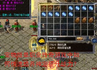 ����浥ְҵ������Ϸ����ο��������������ս����