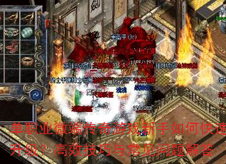 ��ְҵ΢�˴�����Ϸ������ο�����������Ч�����볣��������