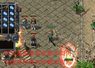 ����ħѪ��ְҵ������ο�������ս���ư�ȫ����