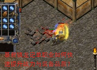 ���������ǵ�ְҵ��ο�������ս����װ��Ʒ�ʣ�