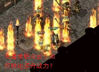 �����ְҵ������ο�������ս����