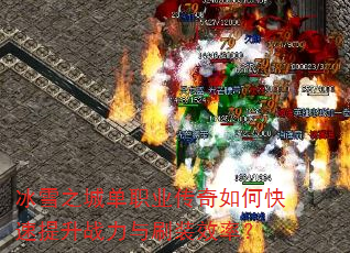 ��ѩ֮�ǵ�ְҵ������ο�������ս����ˢװЧ�ʣ�