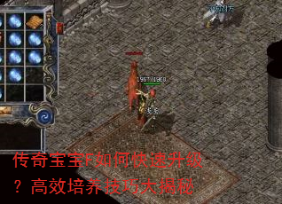 ���汦��F��ο�����������Ч�������ɴ����