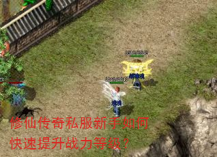 ���ɴ���˽��������ο�������ս���ȼ���