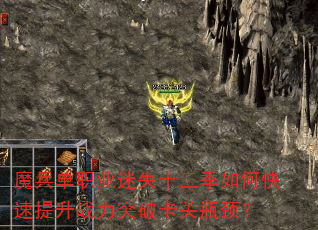 ħ����ְҵ��ʧʮ������ο�������ս��ͻ�ƿ���ƿ����