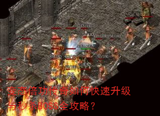 ��̬����������ο�����������ɱBOSSȫ���ԣ�