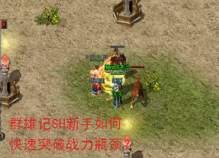 Ⱥ�ۼ�SH������ο���ͻ��ս��ƿ����