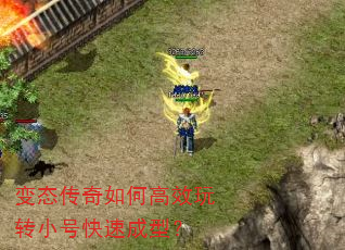 ��̬������θ�Ч��תС�ſ��ٳ��ͣ�