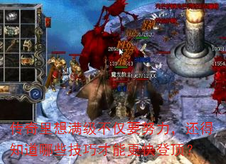 ����������������ҪŬ��������֪����Щ���ɲ��ܸ���Ƕ���