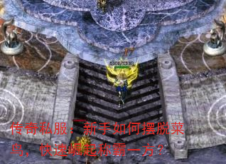 ����˽����������ΰ��Ѳ��񣬿�������ư�һ����