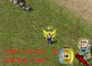 �������������飬��������������⣿