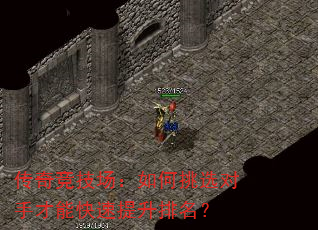 ���澺�����������ѡ���ֲ��ܿ�������������