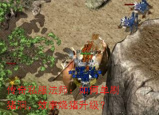 ����˽����ʦ����ε�ˢ������Ч������������