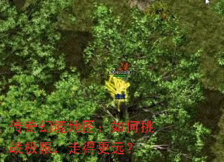 ����þ���ͼ�������ս���ޣ��ߵø�Զ��