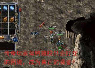 ���������ΰ���ֻ���ֵ���������Ϊ������ǿ�ߣ�