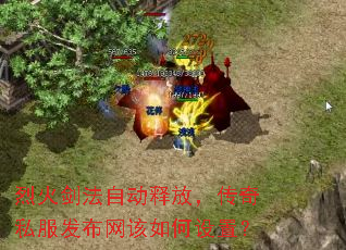 �һ𽣷��Զ��ͷţ�����˽����������������ã�