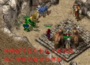 �������ֲ�����ô�����ҵ��������ҵĿ���ʦ���أ�