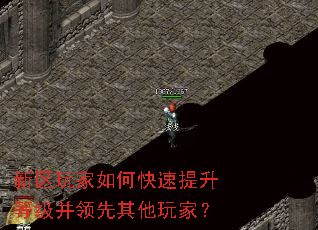 ���������ο��������ȼ�������������ң�