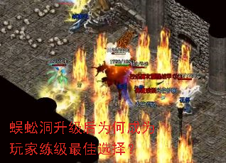 ��򼶴������Ϊ�γ�Ϊ����������ѡ��