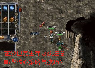 ��ɳ�Ϳ��������ע����Щ���Ĳ����뼼�ɣ�