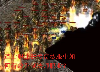 ��ʿְҵ�ڴ���˽���������Ч���Ʒ�ʦְҵ��