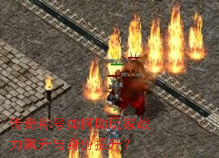 ����ƺ���������ս�����������������