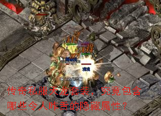 ����˽��������װ������������Щ����զ����������ԣ�