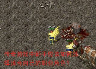 ������Ϸ������Ӧ�����ѡ���ʺ��Լ���ְҵ��ɫ��