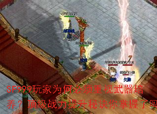 SF999���Ϊ�α���������������������ս�������ؾ�����������