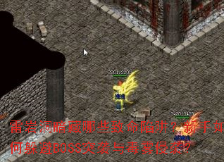 ���Ҷ�������Щ�������壿������ζ��BOSSͻϮ�붾����Ϯ��