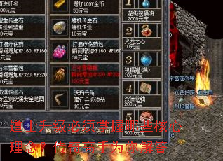 ��ʿ��������������Щ��������������Ϊ����