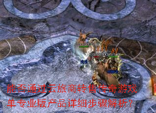 �ܷ�ͨ��������ת�۴�����Ϸ��רҵ���Ʒ��ϸ���������