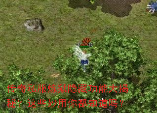 ����˽���������ع��ܴ���أ���Щ�����㶼֪����