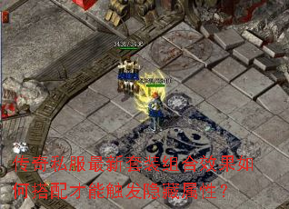 ����˽��������װ���Ч����δ�����ܴ����������ԣ�