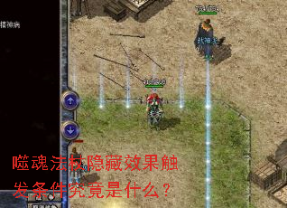 �ɻ귨������Ч����������������ʲô��