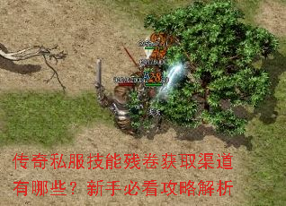 ����˽�����ܲо���ȡ��������Щ�����ֱؿ����Խ���