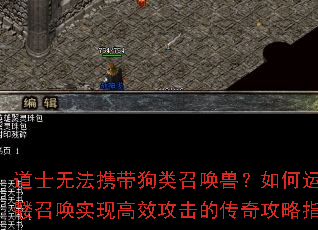 ��ʿ�޷�Я�������ٻ��ޣ�������������ٻ�ʵ�ָ�Ч�����Ĵ��湥��ָ�ϣ�