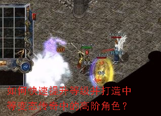 ��ο��������ȼ��������еȱ�̬�����еĸ߽׽�ɫ��