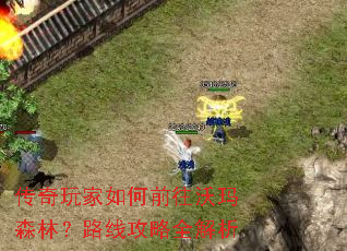 ����������ǰ������ɭ�֣�·�߹���ȫ����