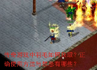 ������Ϸ����ë��λ�ȡ����ȷʹ�÷������������Щ��