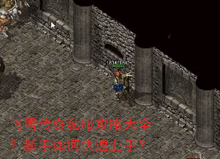 ��ѩ����˽�����Դ�ȫ��������ο������֣�