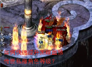 ��ο��������ڰ�Ѫɷ����˽����ɫ�ȼ���