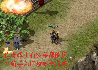 ����սʿ�ж�˶����棿�������Ź���ȫ����