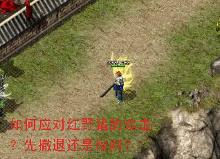 ���Ӧ�Ժ�Ұ����׷�����ȳ��˻���Ӳ�գ�