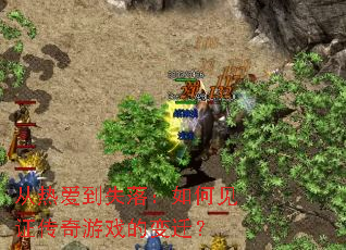 ���Ȱ���ʧ�䣺��μ�֤������Ϸ�ı�Ǩ��