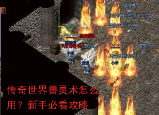 ����������������ô�ã����ֱؿ�����