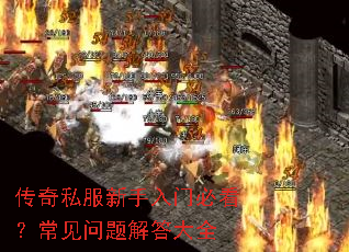 ����˽���������űؿ��������������ȫ